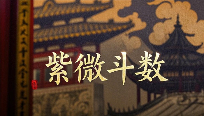 兄弟宫四化入十二宫详解，紫微斗数兄弟宫四化在十二宫含义插图