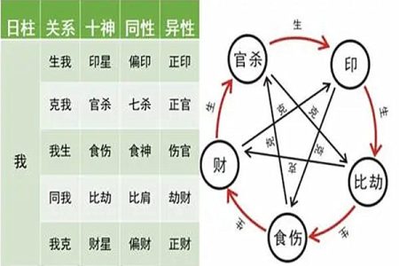 八字十神代表的意义及作用解析