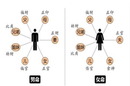 八字十神所代表的人事类象详解
