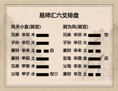 执象易注_风天小畜卦-初九：复自道，何其咎，吉。